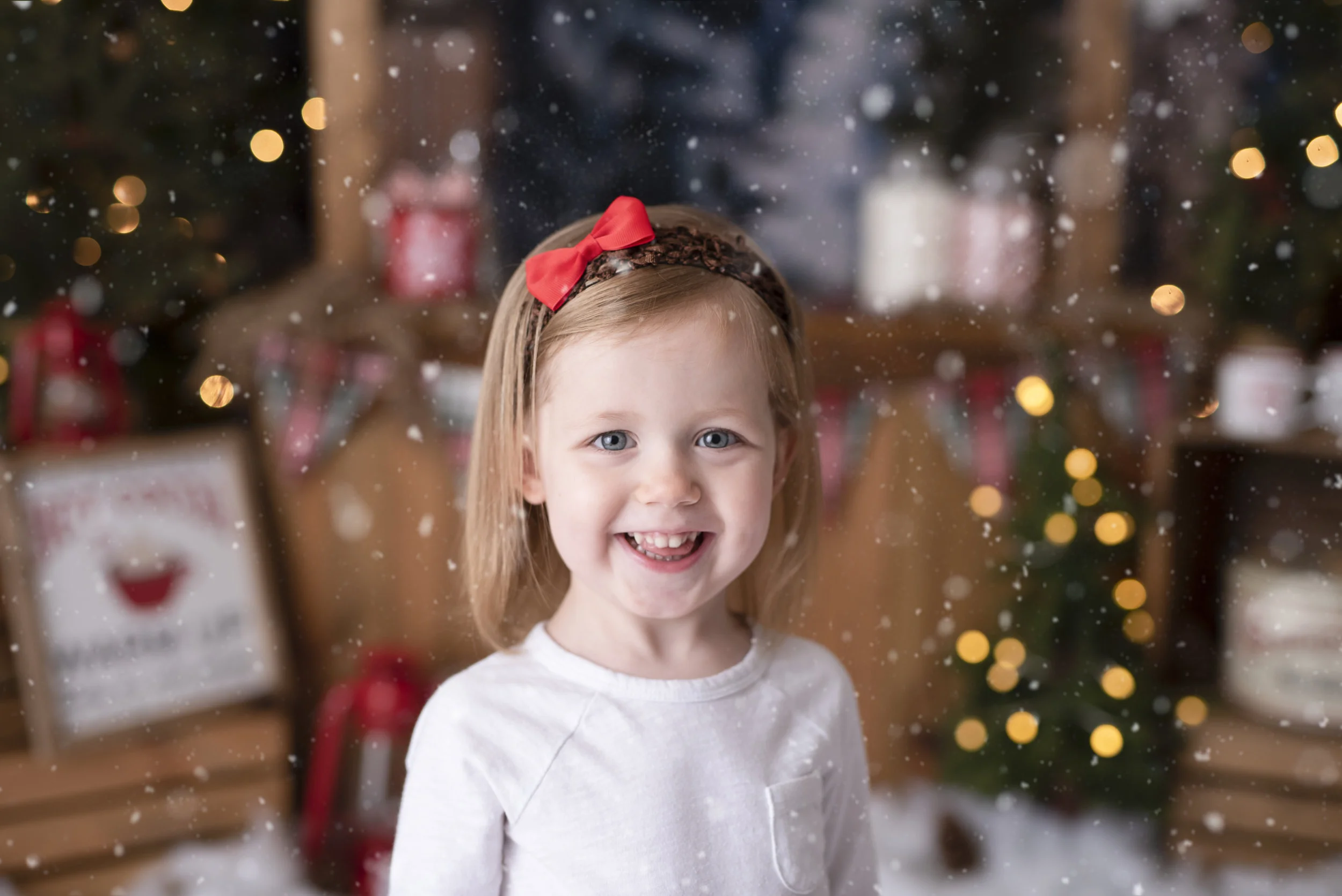 D7C_9189snow.jpg