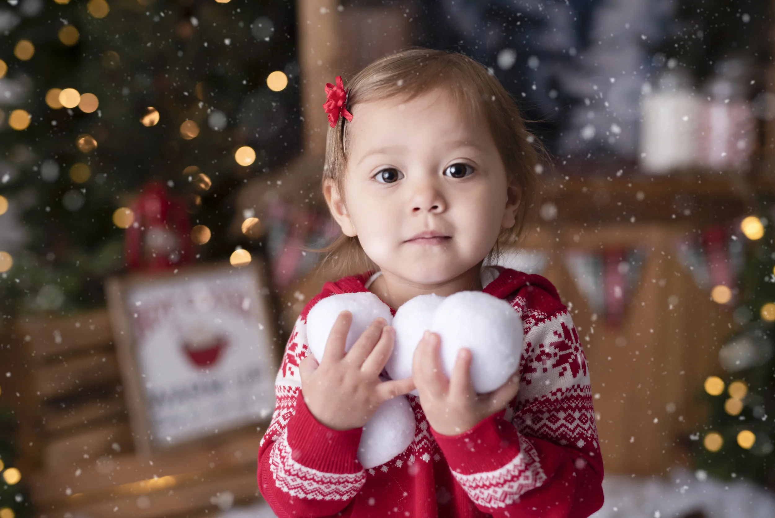D7C_9498snow.jpg