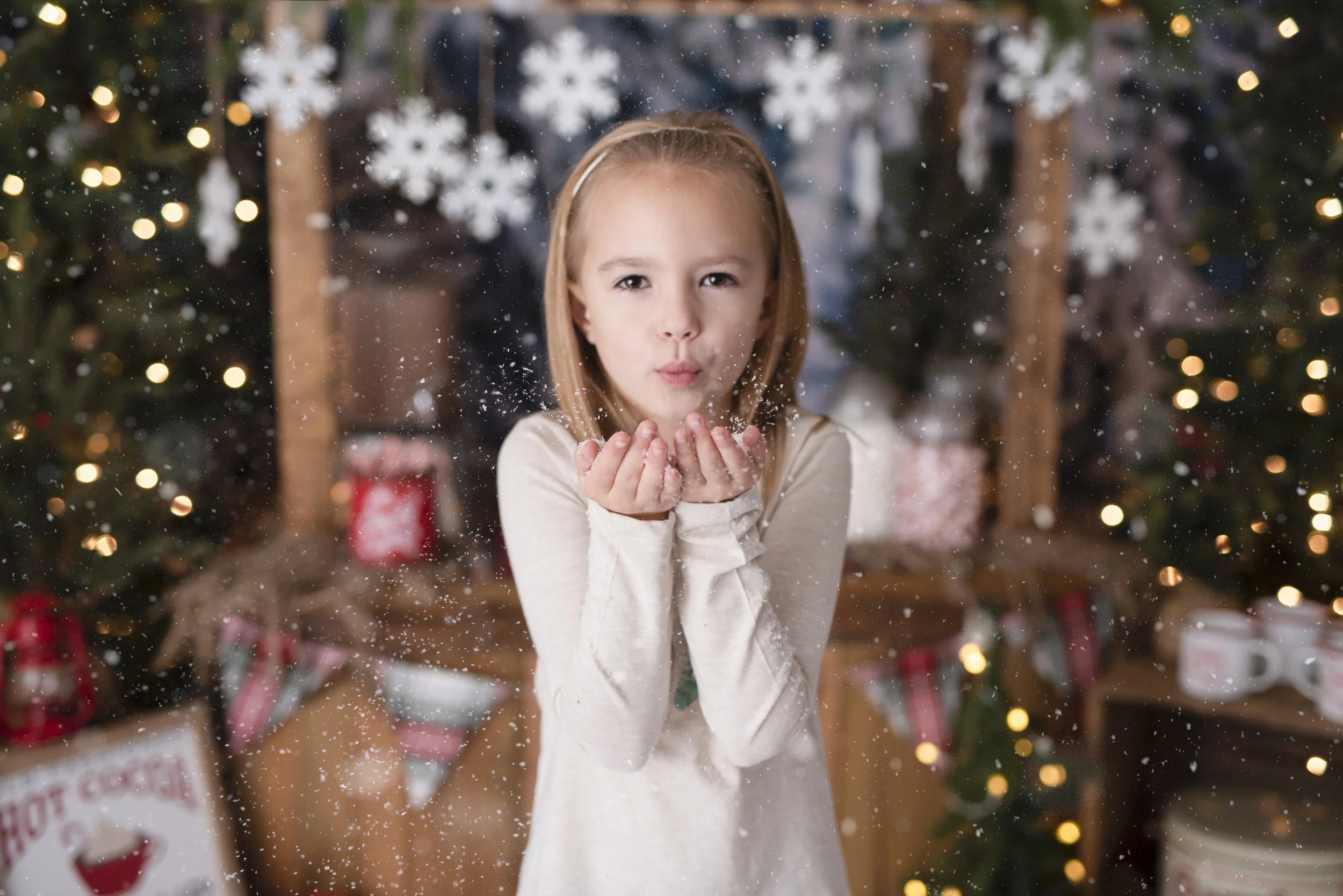 D7C_9367snow.jpg