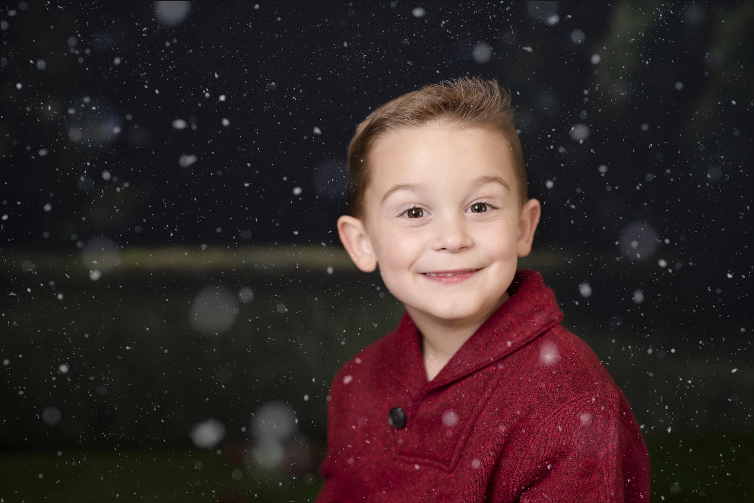 D7C_9375snow.jpg