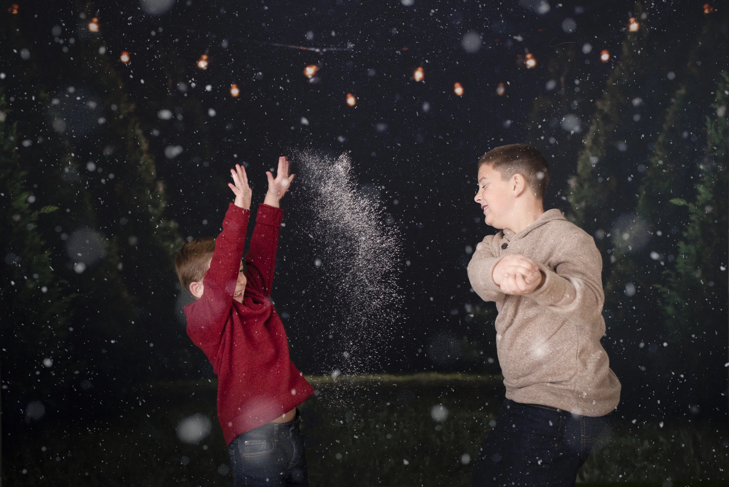 D7C_9463snow.jpg