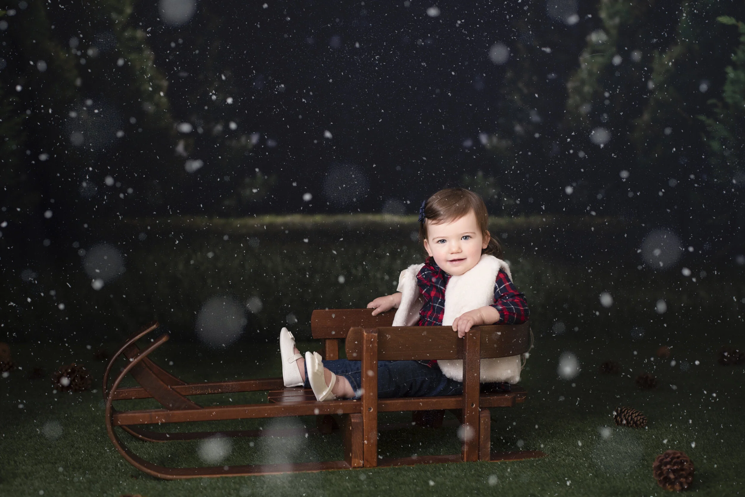 D7C_9310snow.jpg