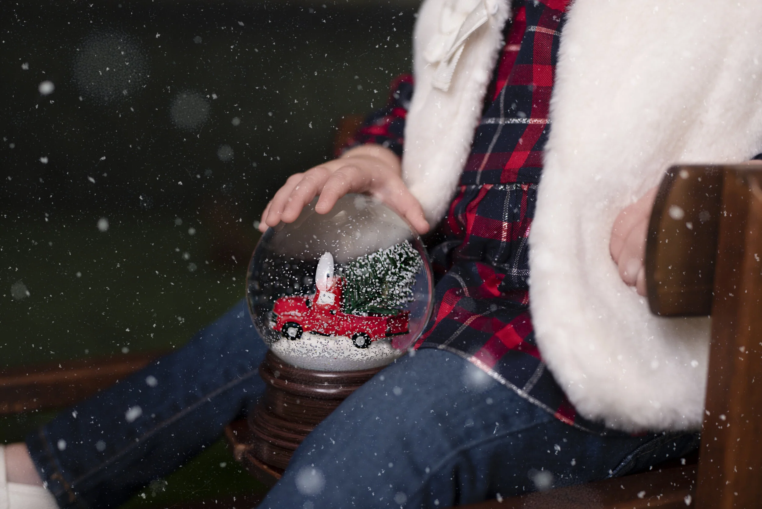 D7C_9316snow.jpg