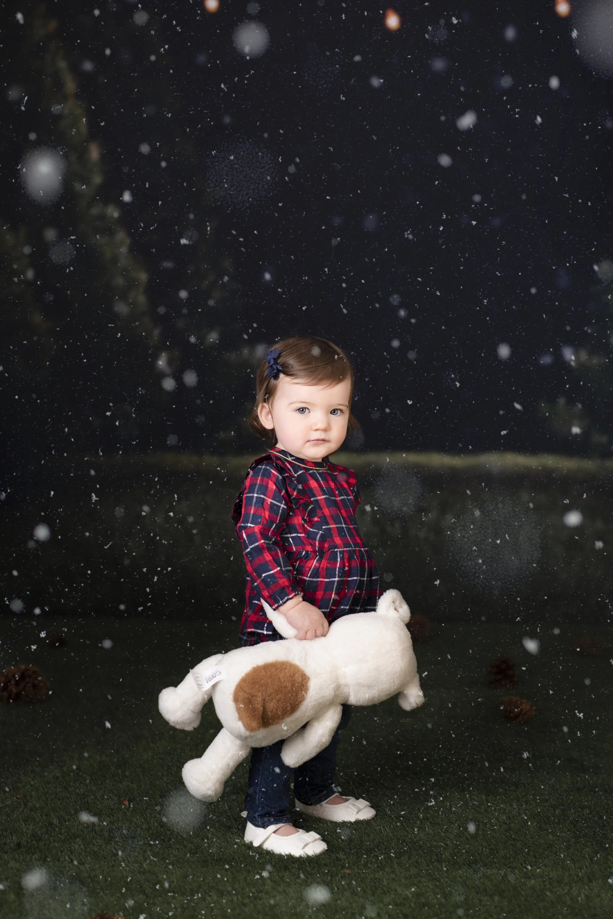D7C_9320snow.jpg