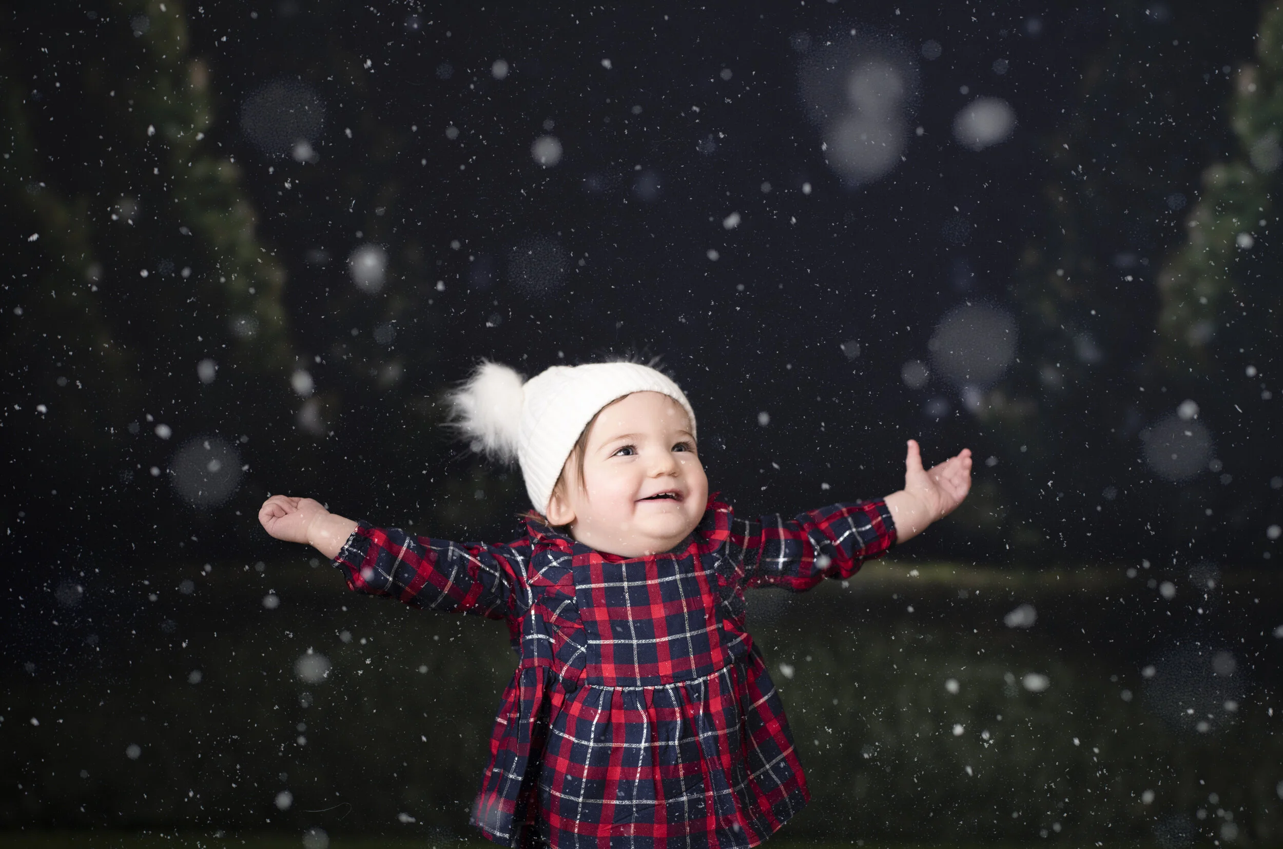 D7C_9343snow.jpg