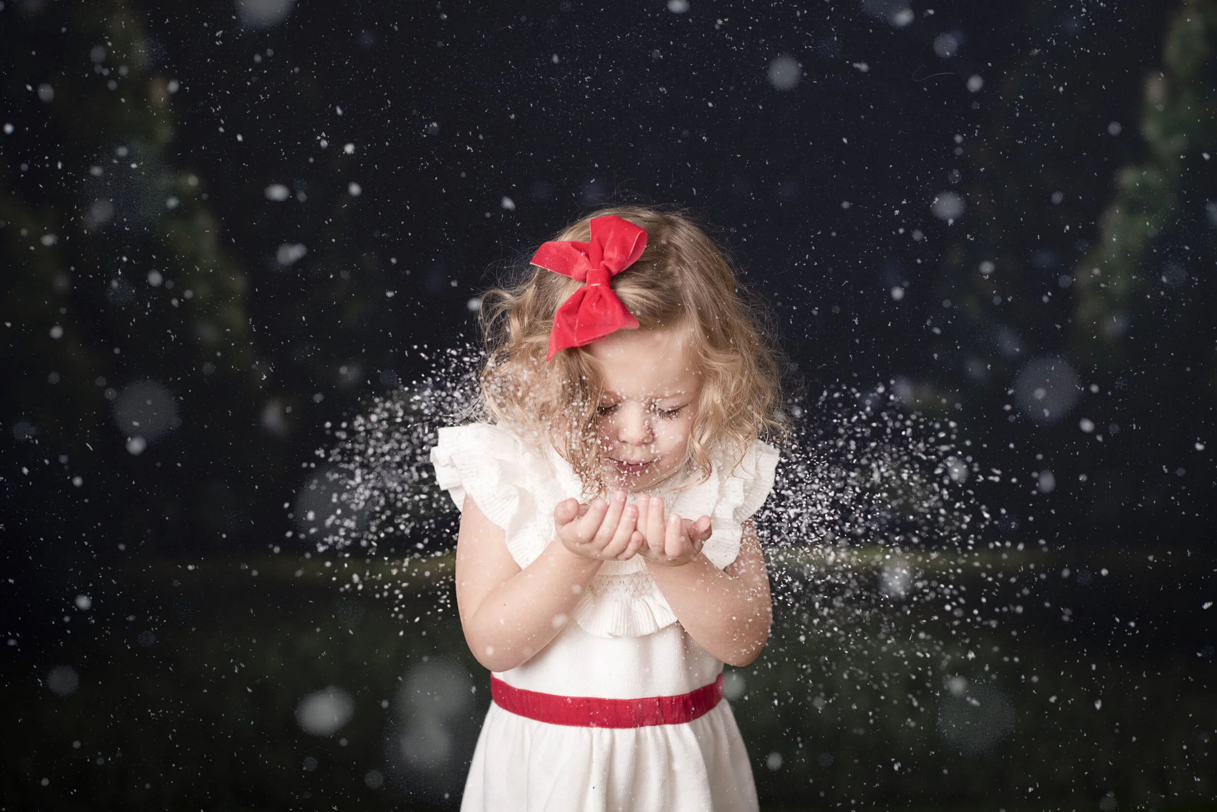 D7C_9221snow.jpg