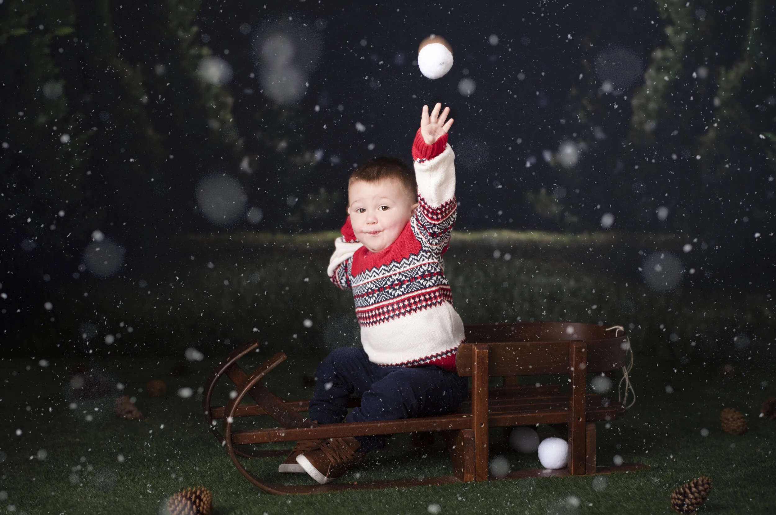D7C_9171snow.jpg