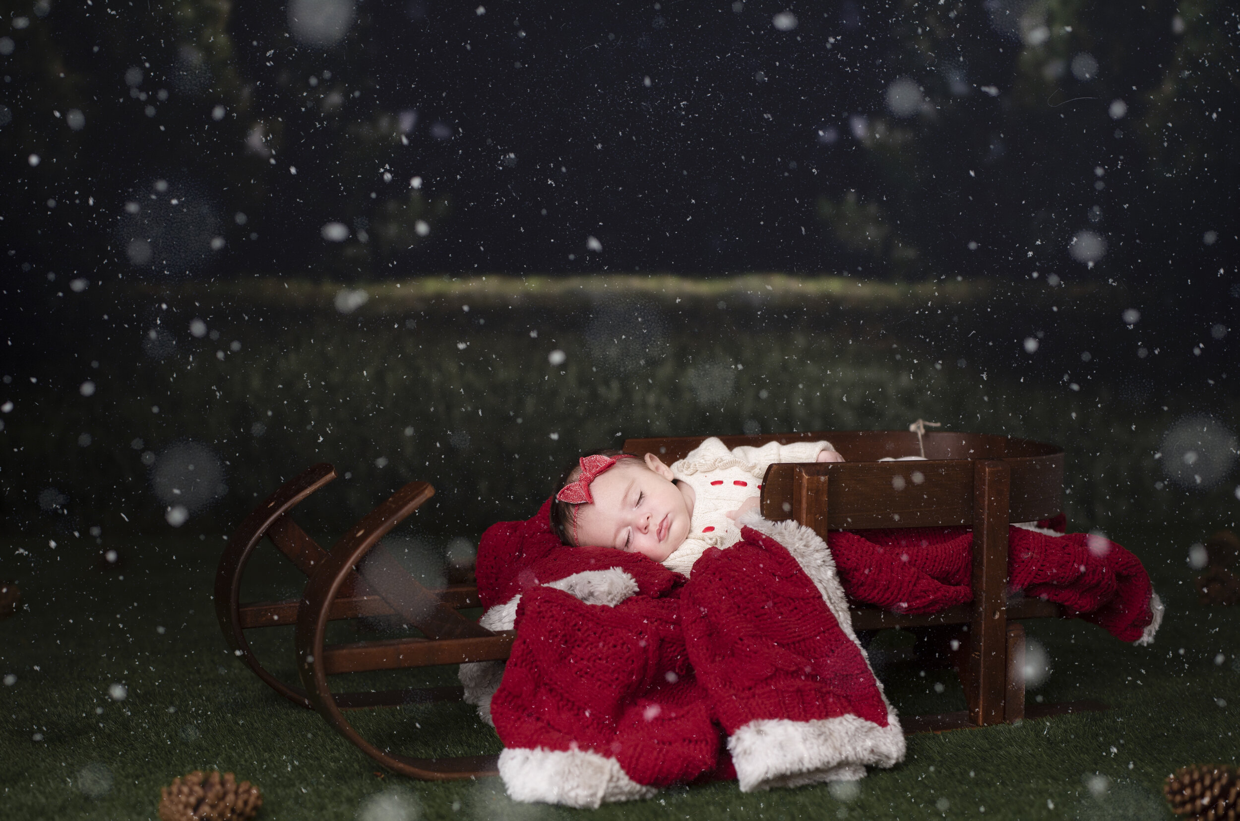 D7C_9226snow.jpg