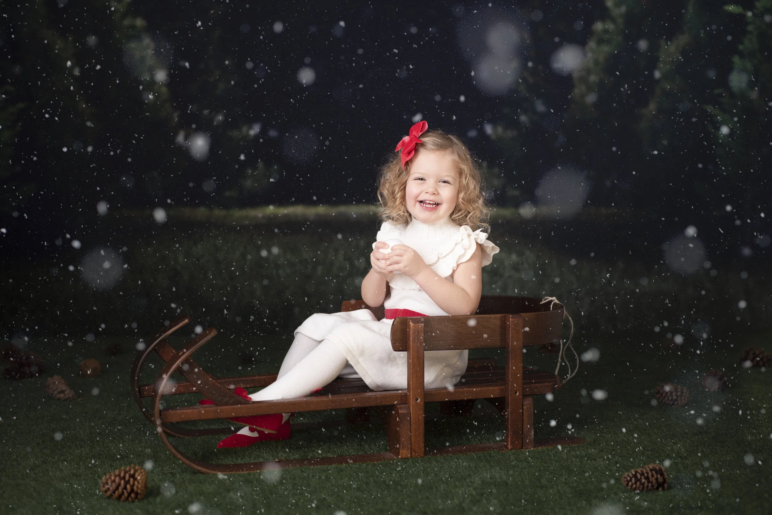 D7C_9160snow.jpg