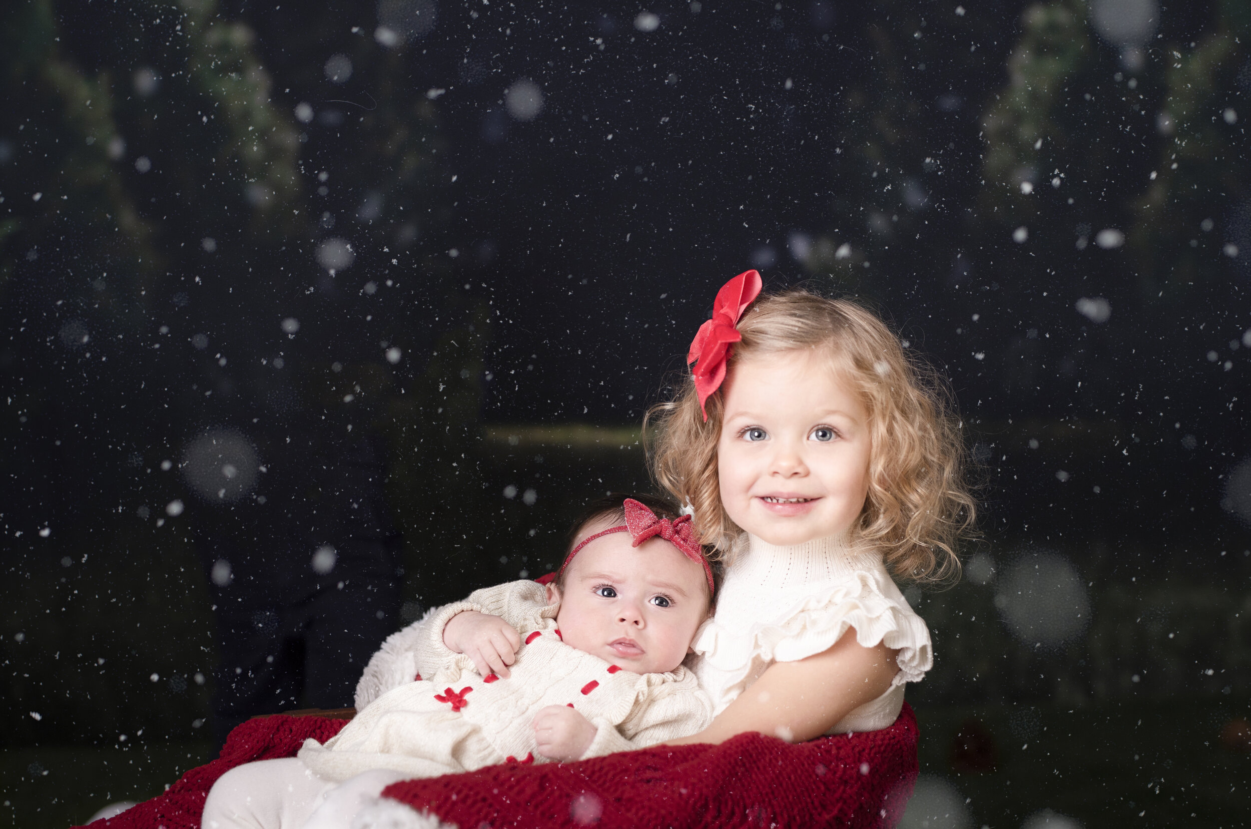 D7C_9192snow.jpg