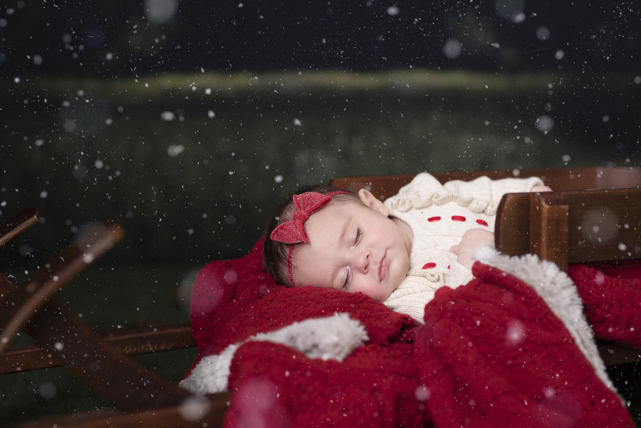 D7C_9228snow.jpg