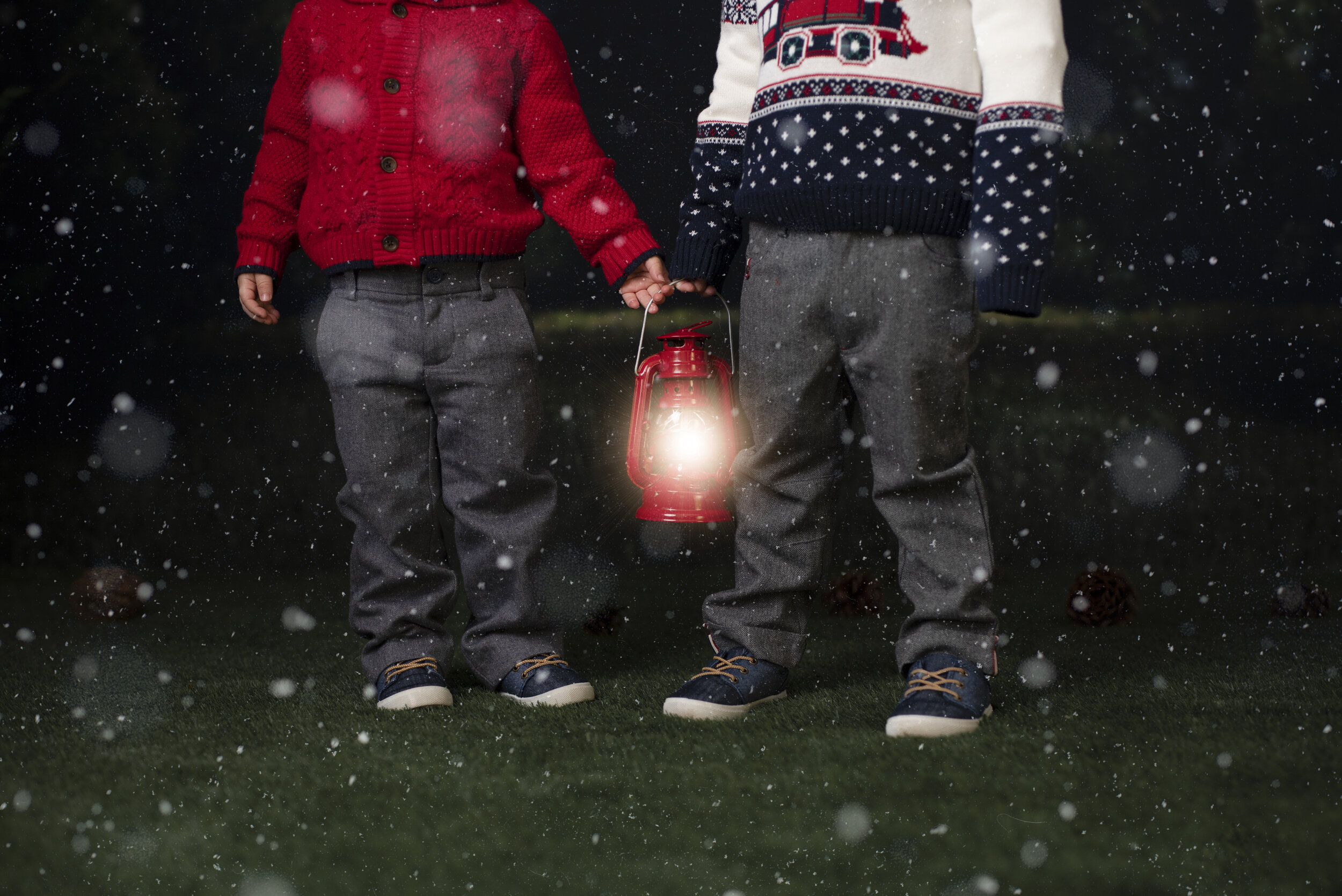 D7C_2188snow.jpg