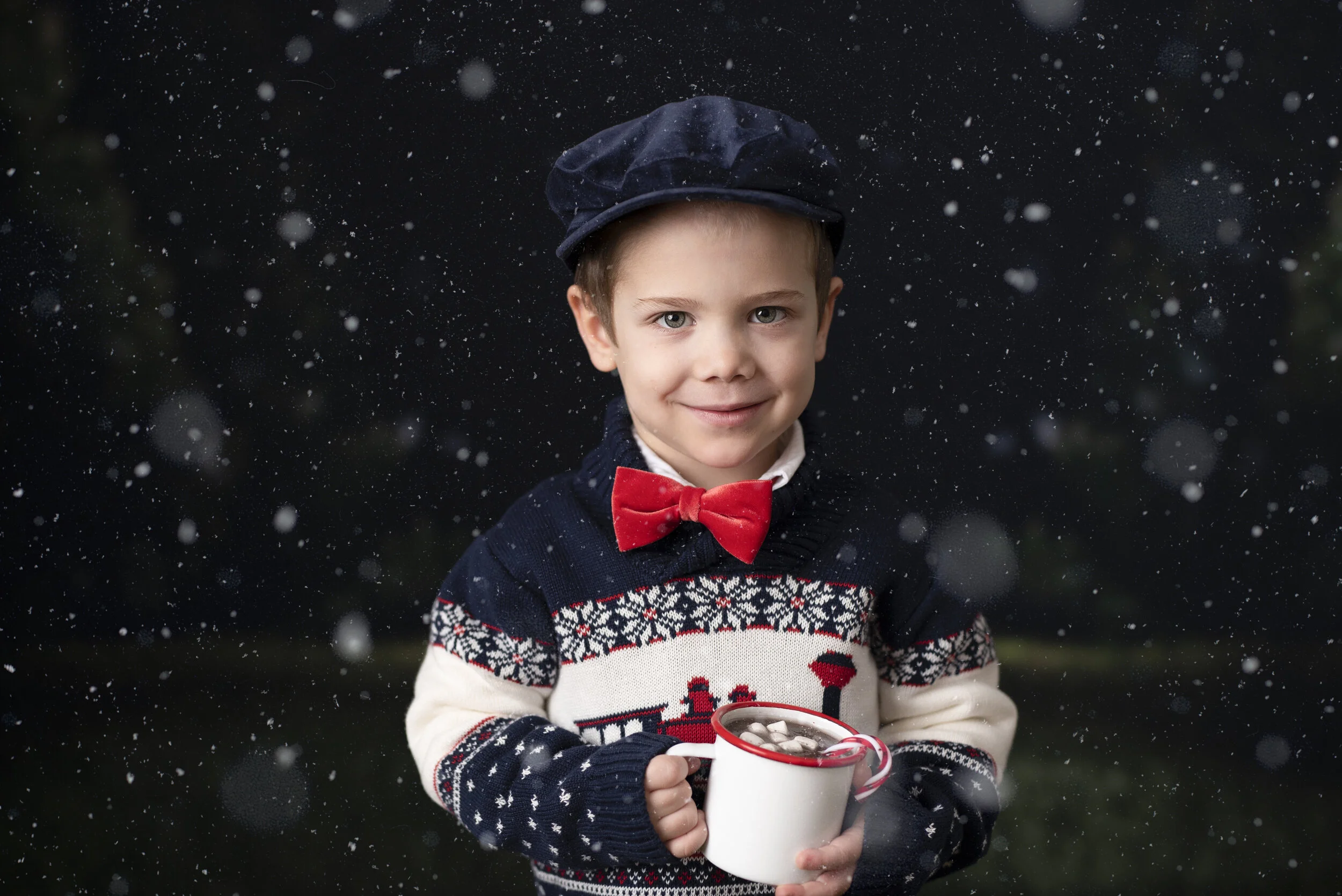 D7C_2258snow.jpg