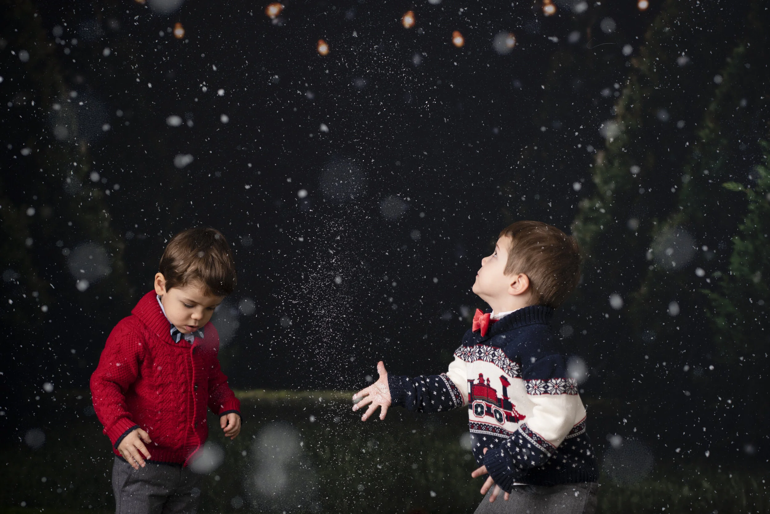 D7C_2269snow.jpg