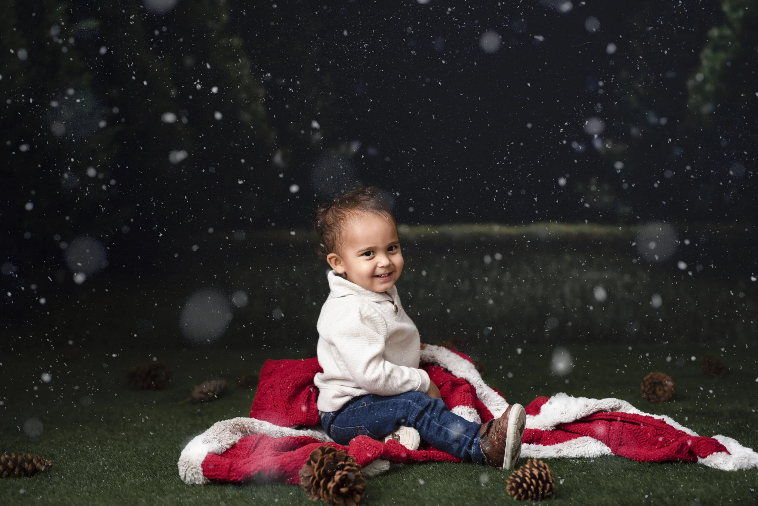 D7C_2726snow.jpg