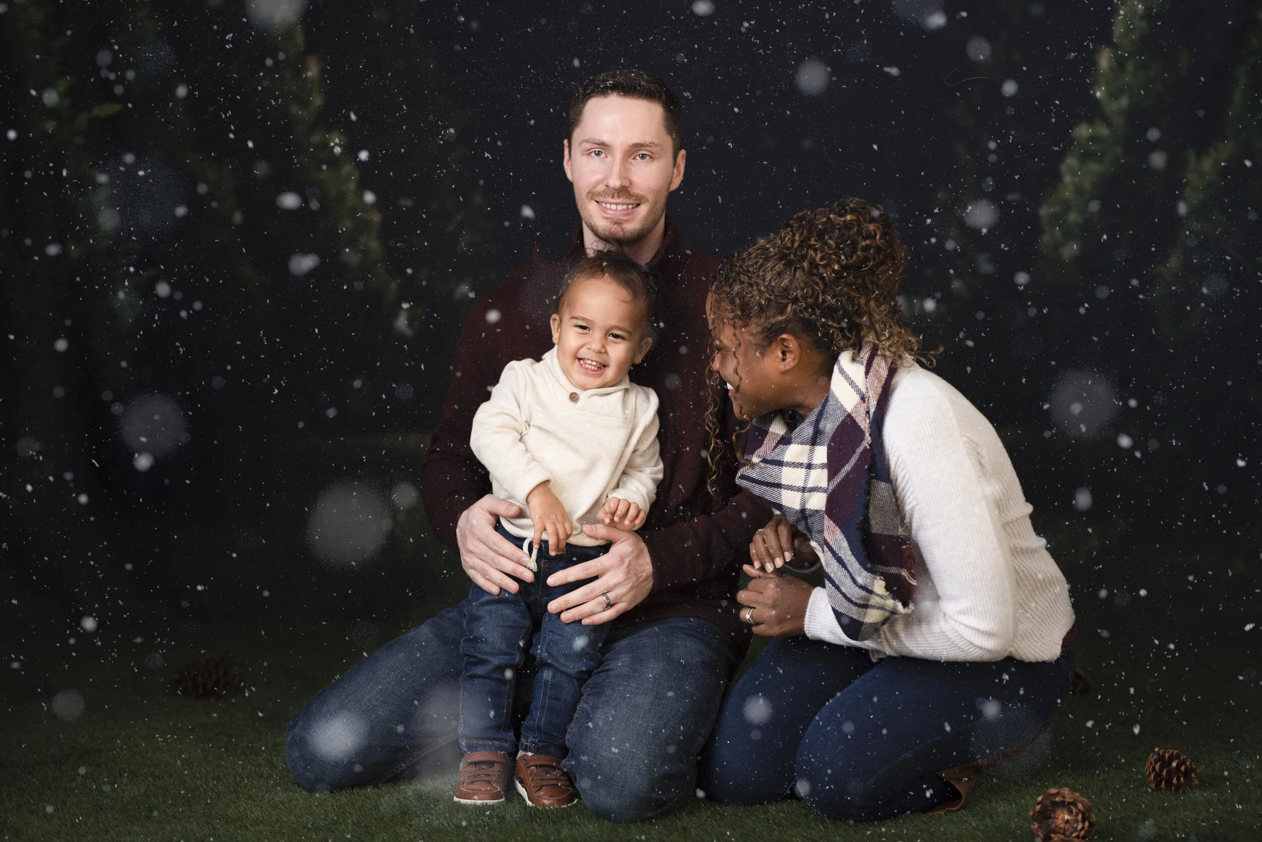D7C_2687snow.jpg