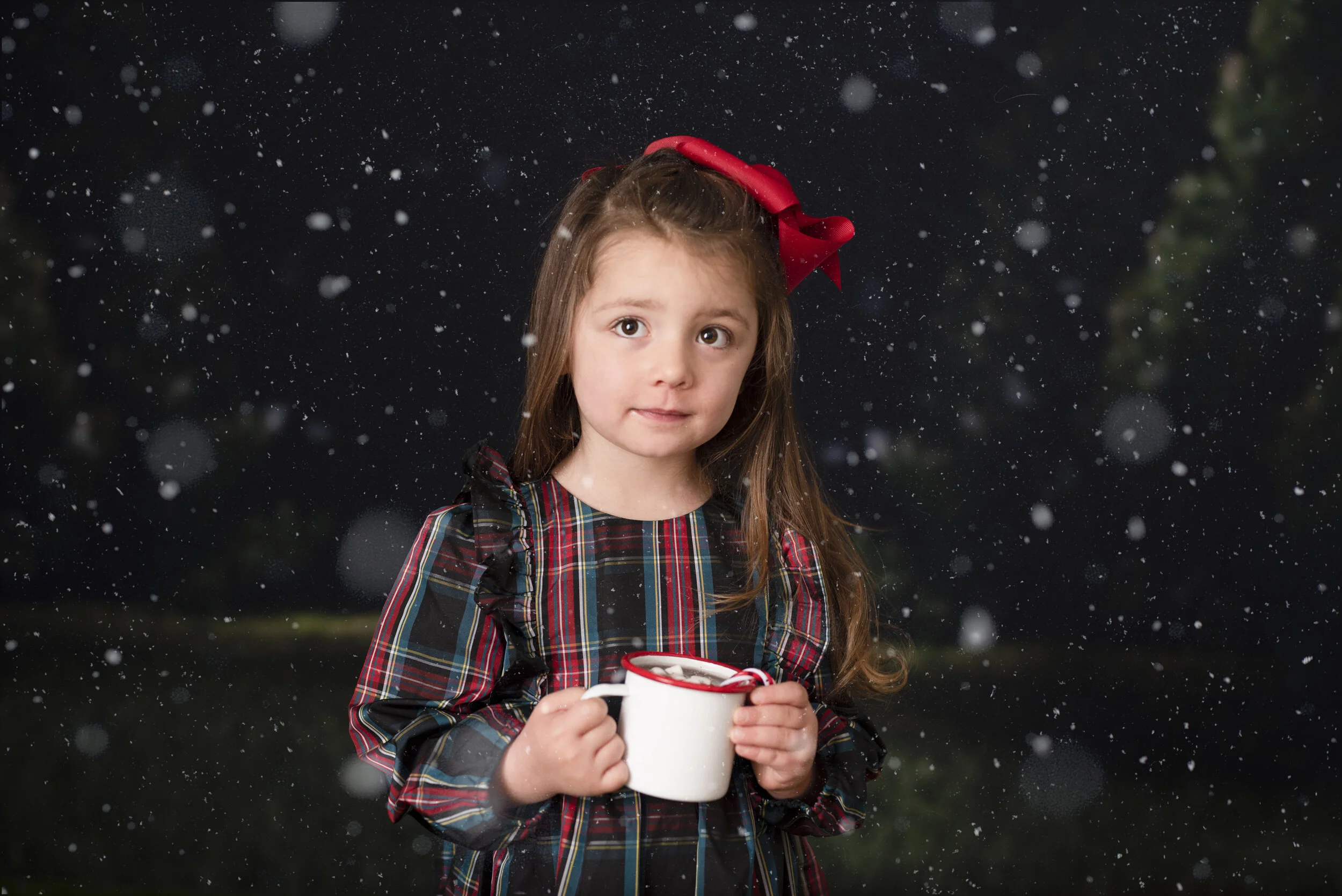 D7C_2375snow.jpg