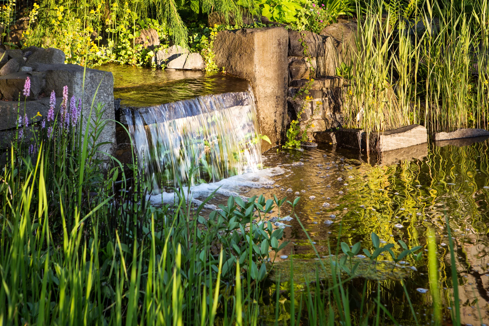 Unternehmensfotografie für C. Huhn Garten- und Landschaftsbau in Schlüchtern-Wallroth