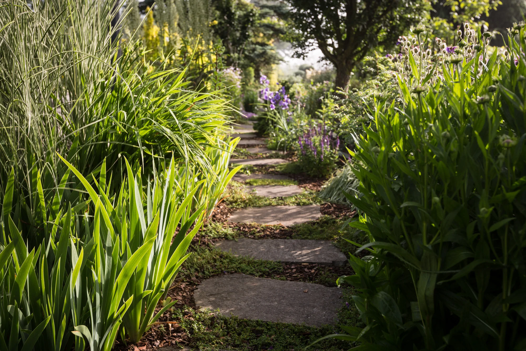 corporate_gartenbau_chuhn_04.jpg