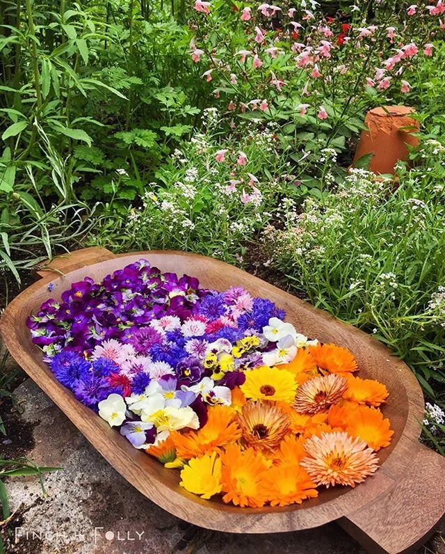 Behold&hellip;the cure for cabin fever! Much like a squirrel storing acorns for the winter, I am busily hoarding my herbs for the very same thing. Nothing warms up a frigid December day like being surrounded by jars of aromatic herbs&hellip;treasures