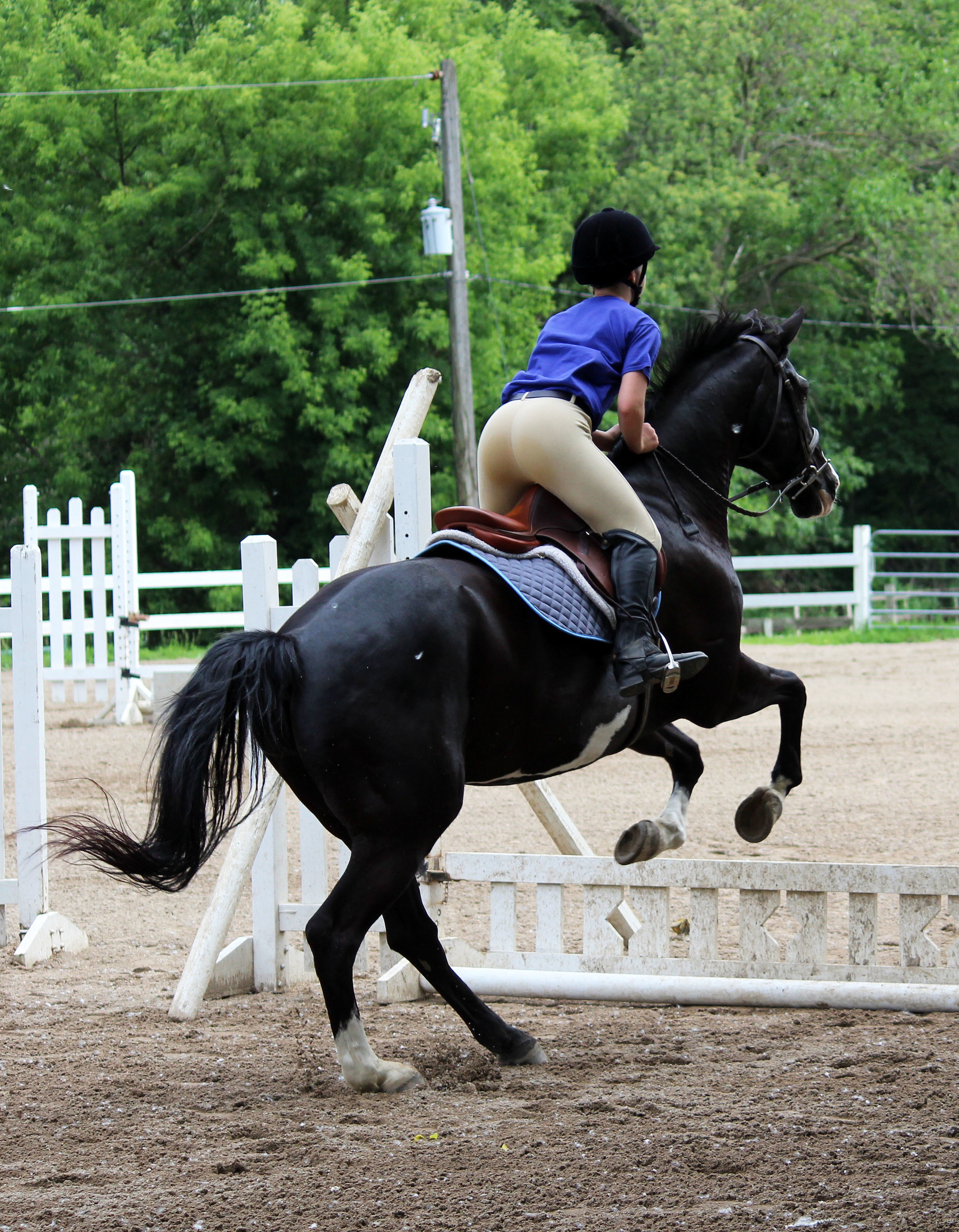 equestrian competition
