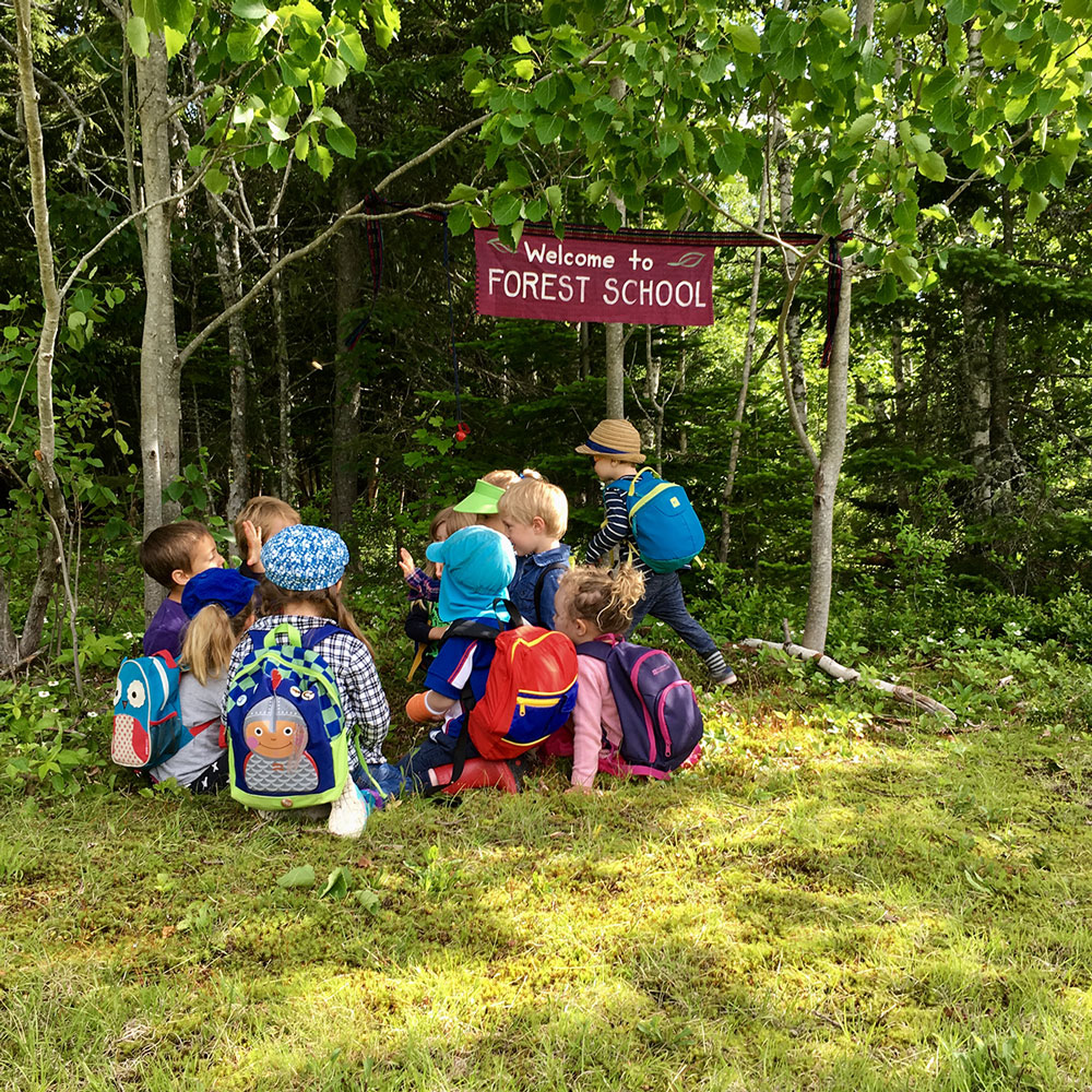Welcome_forestSchool.jpg