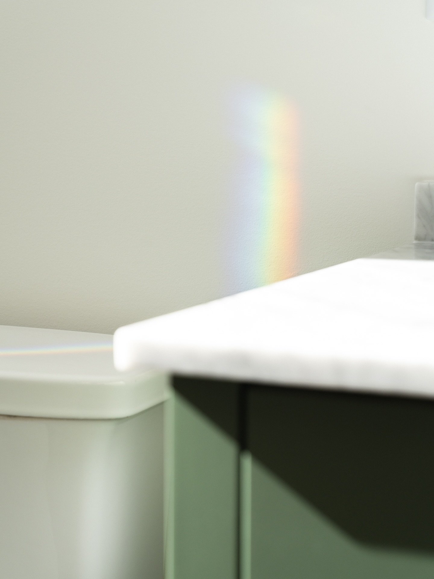 Mystery solved. The end of rainbow leads right here. 🌈 Happy St. Patrick&rsquo;s day!

Design: @northandbirch 
Perfectly timed rainbow on wall: nature 🌞 
Photography: @jacobhawkins.photography 

Custom home design green bathroom bathroom design. No