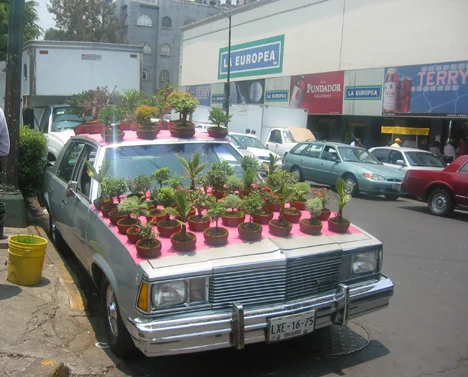 Mexico.Car.jpg