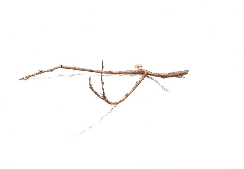 Abstract.From.1.jpg
