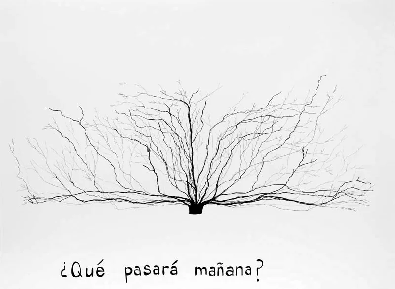 Roots.jpg