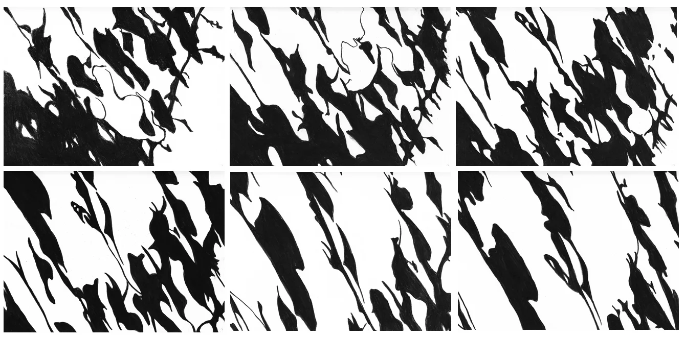 Shadows.April16.2012.jpg