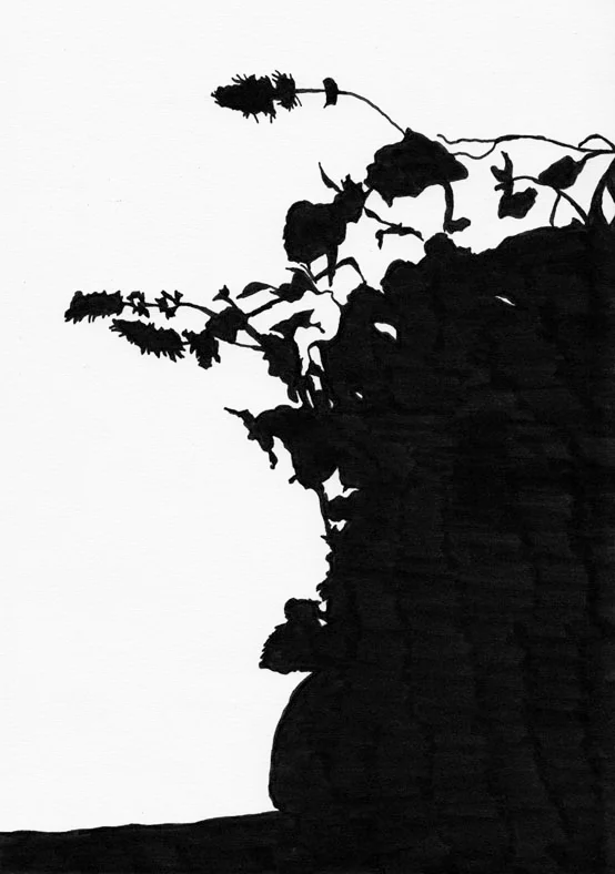 KatieHolten.Shadow.August19.2.jpg