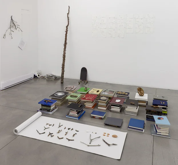 Katie Holten went for a walk every day of the exhibition and left a record in the gallery.