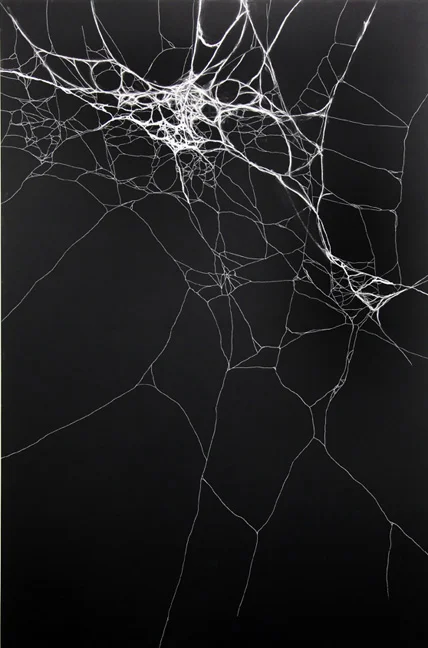 Infinity Field (All I Need) , 2013, chalk, oil stick and black acrylic on canvas, 230 x 150 cm.