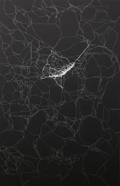 Infinity Field (Emergent Algorithm) , 2013, chalk, oil stick and black acrylic on canvas, 230 x 150 cm.