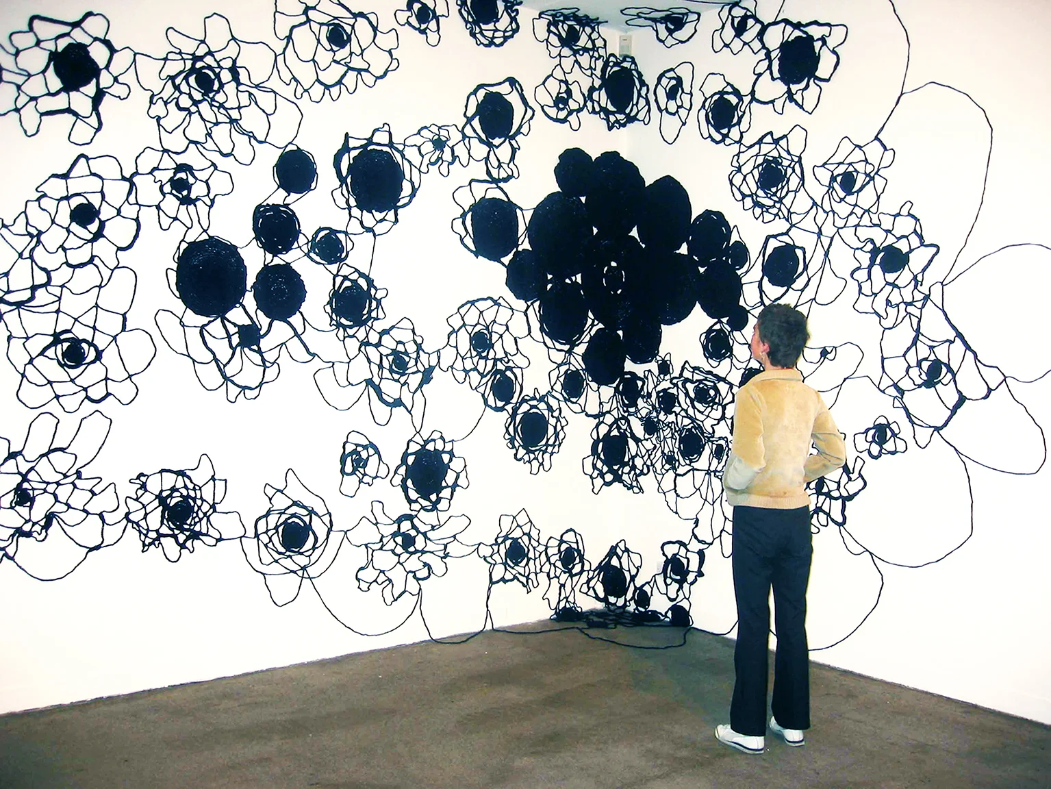 137.5 Degrees. Installation view, Temple Bar Gallery & Studios, Dublin, Ireland, September - October 2002.