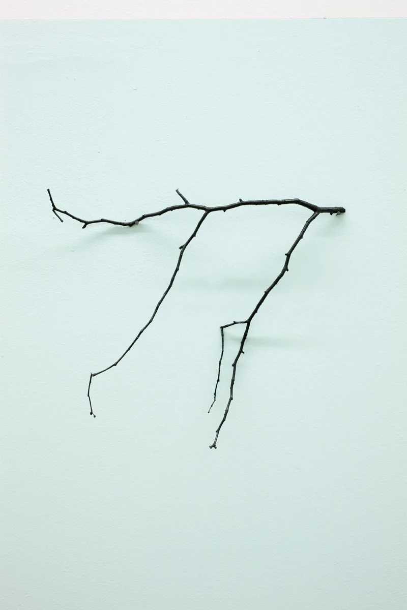 The Golden Bough (installtion view ) , 2010. Indian ink on twig. Photo Denis Mortell. 