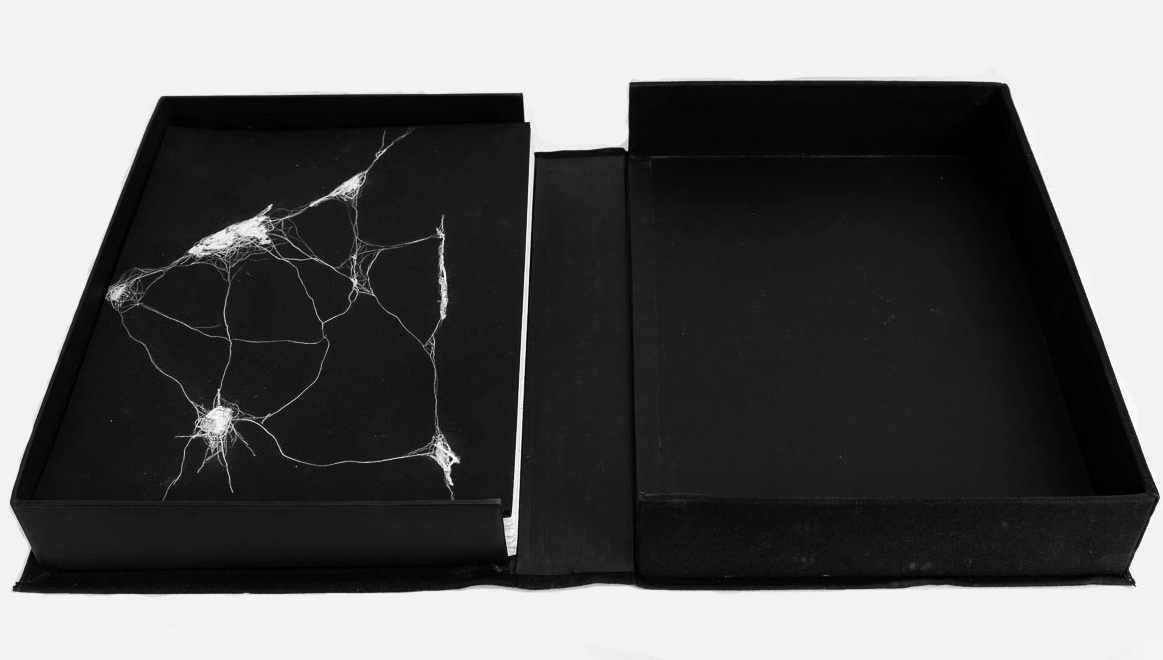 100 Drawings in a Box , 2014. 