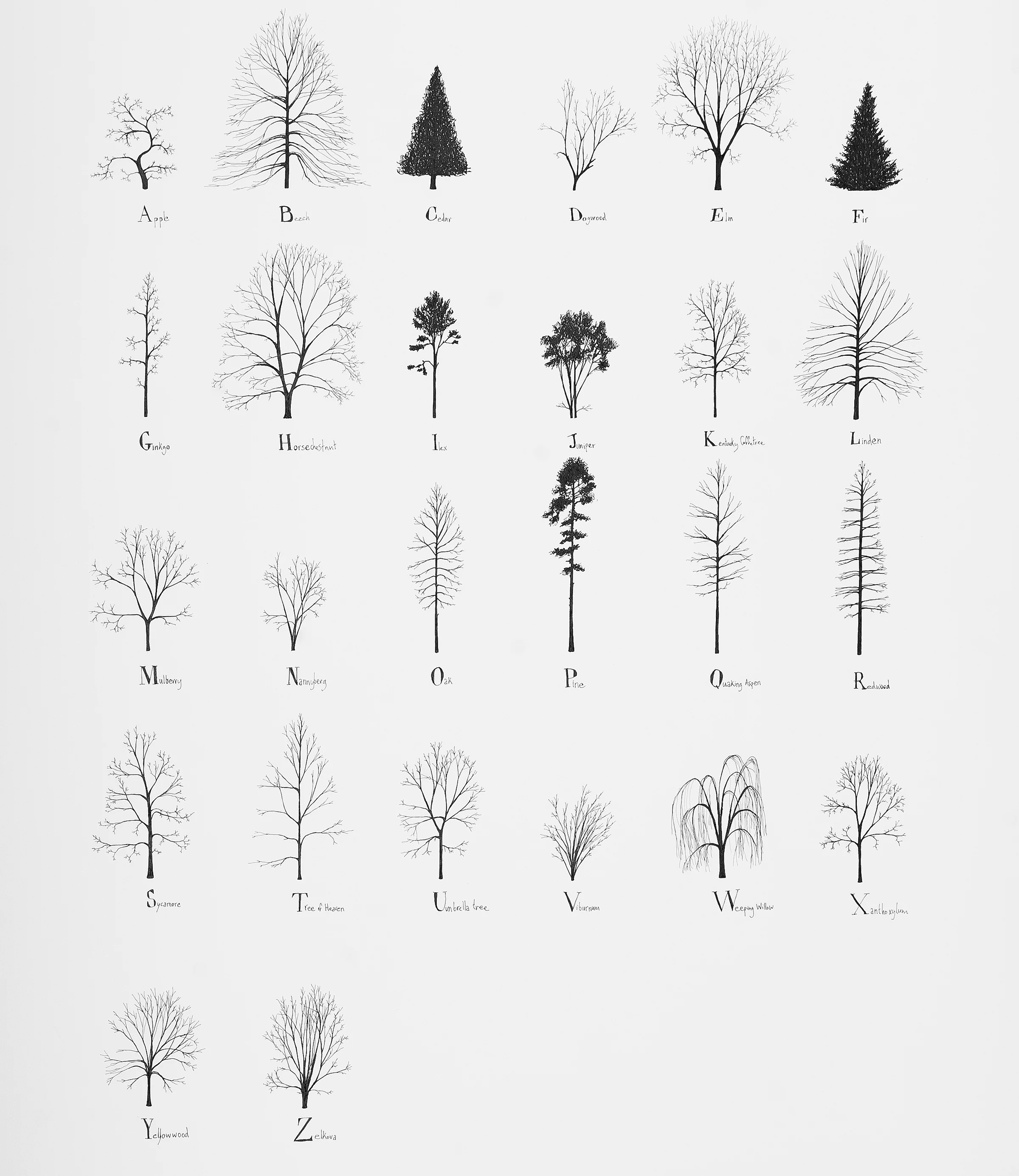 KatieHolten.TreeAlphabet.2015.jpg