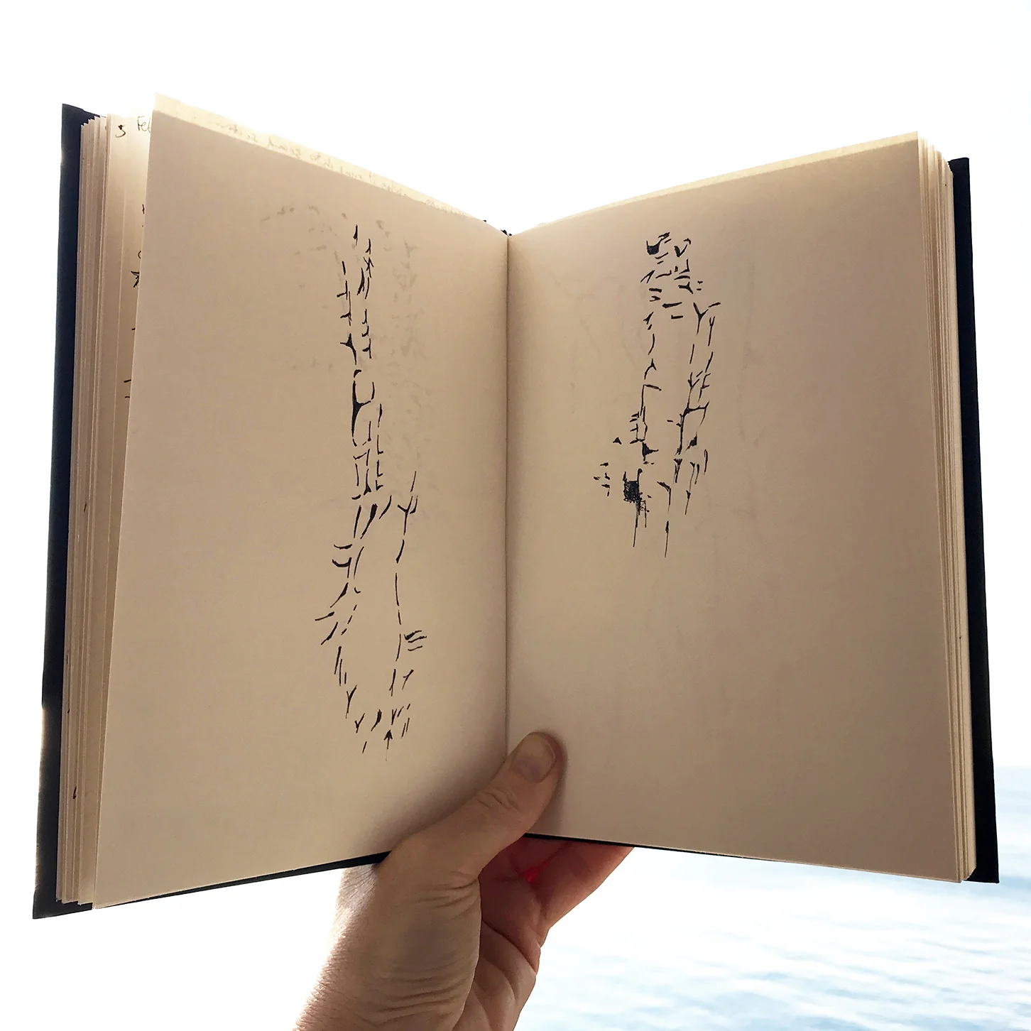 Camargo Notebook 2.jpg