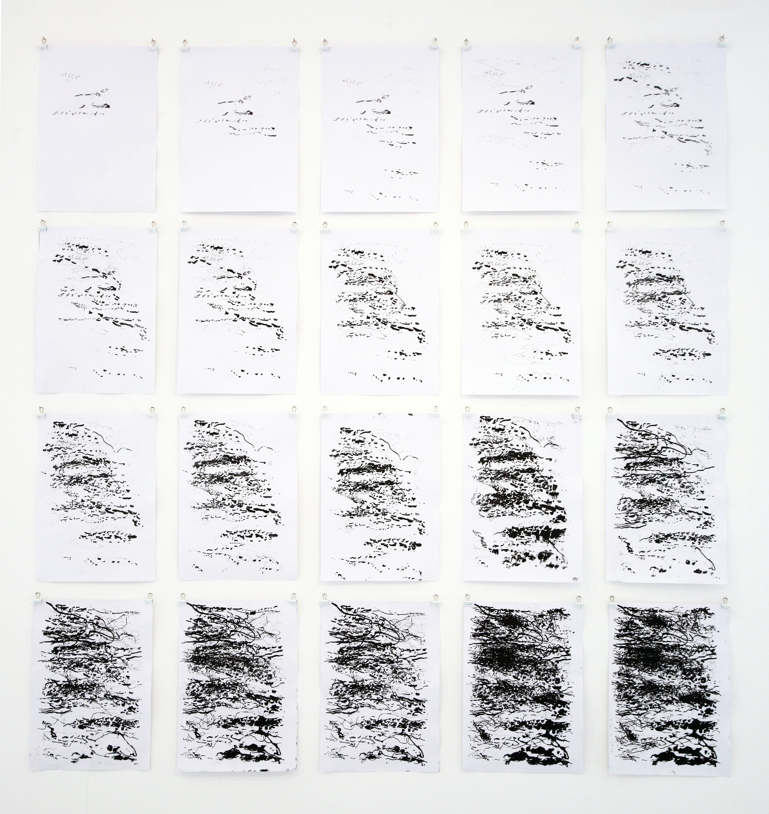 Swifts, 2019, photo-litho on paper, 20 unique prints