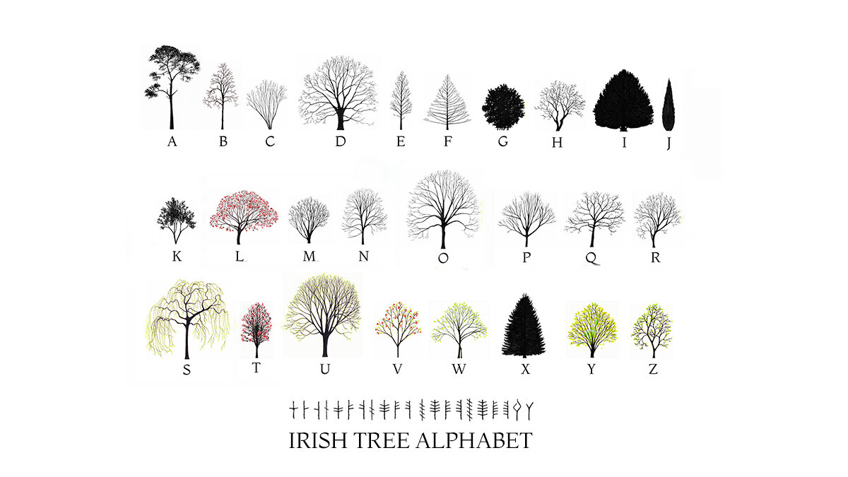 Katie Holten. Irish Tree Alphabet. A-Z. WINTER with Ogham. Landscape July 16 .jpg