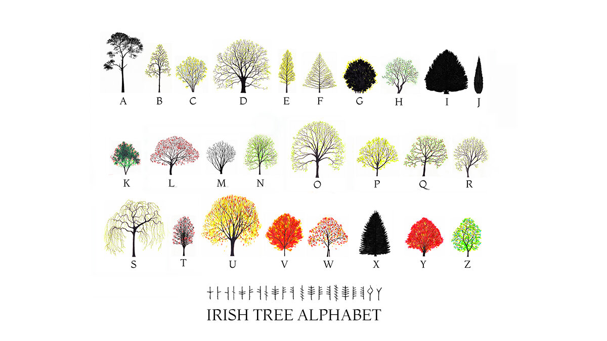 Katie Holten. Irish Tree Alphabet. A-Z. SPRING with Ogham. Landscape July 16 .jpg