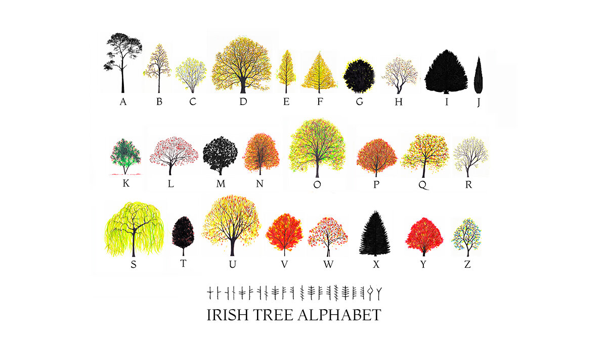 Irish Tree Alphabet A-Z July 4 REAL AUTUMN with Ogham twitter .jpg
