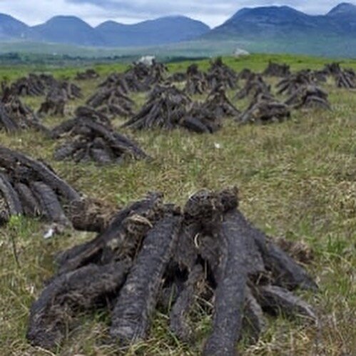 &ldquo;In Ireland, at last count, the area of intact raised bog remaining was c.0.6% of what was there originally. But the State has not acted to stop illegal turf-cutting on SACs and so this figure may now be even smaller.&rdquo; @irishwildlifetrust