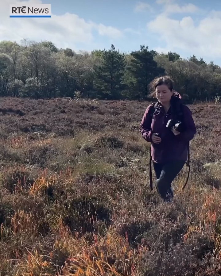 Congratulations to @tinaclaffeyphotography on this lovely little film about her work as a climate hero, by @rtenews 💚

&quot;It's a magical living landscape.&quot;

Tina is an inspiration 🙌

Here what RT&Eacute; says:

A Co Offaly photographer is r