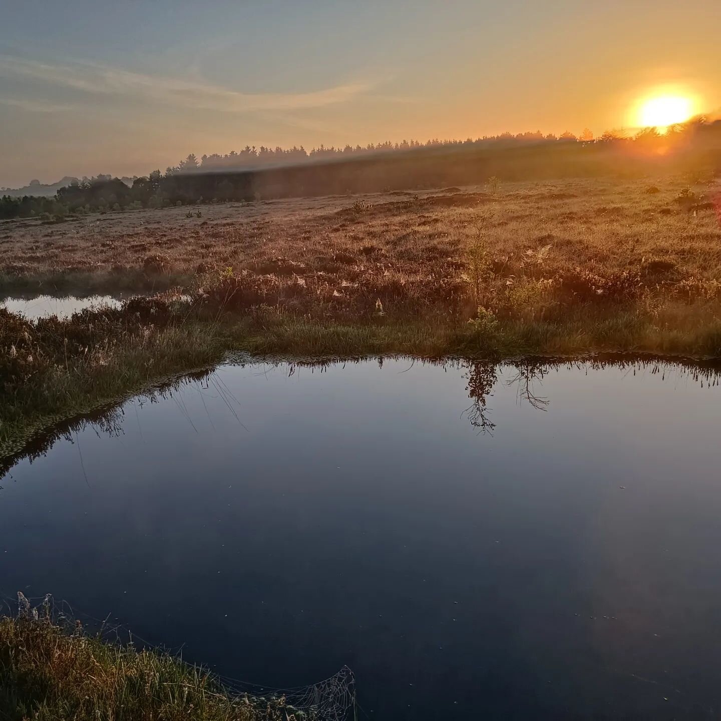 Sunrise on stormanstown.

We have been quiet of late, a busy year that has seen many great things happen within our group.

It's important to rest in winter and go with the seasons as they change.

Lots of stuff happening in the background and plans 