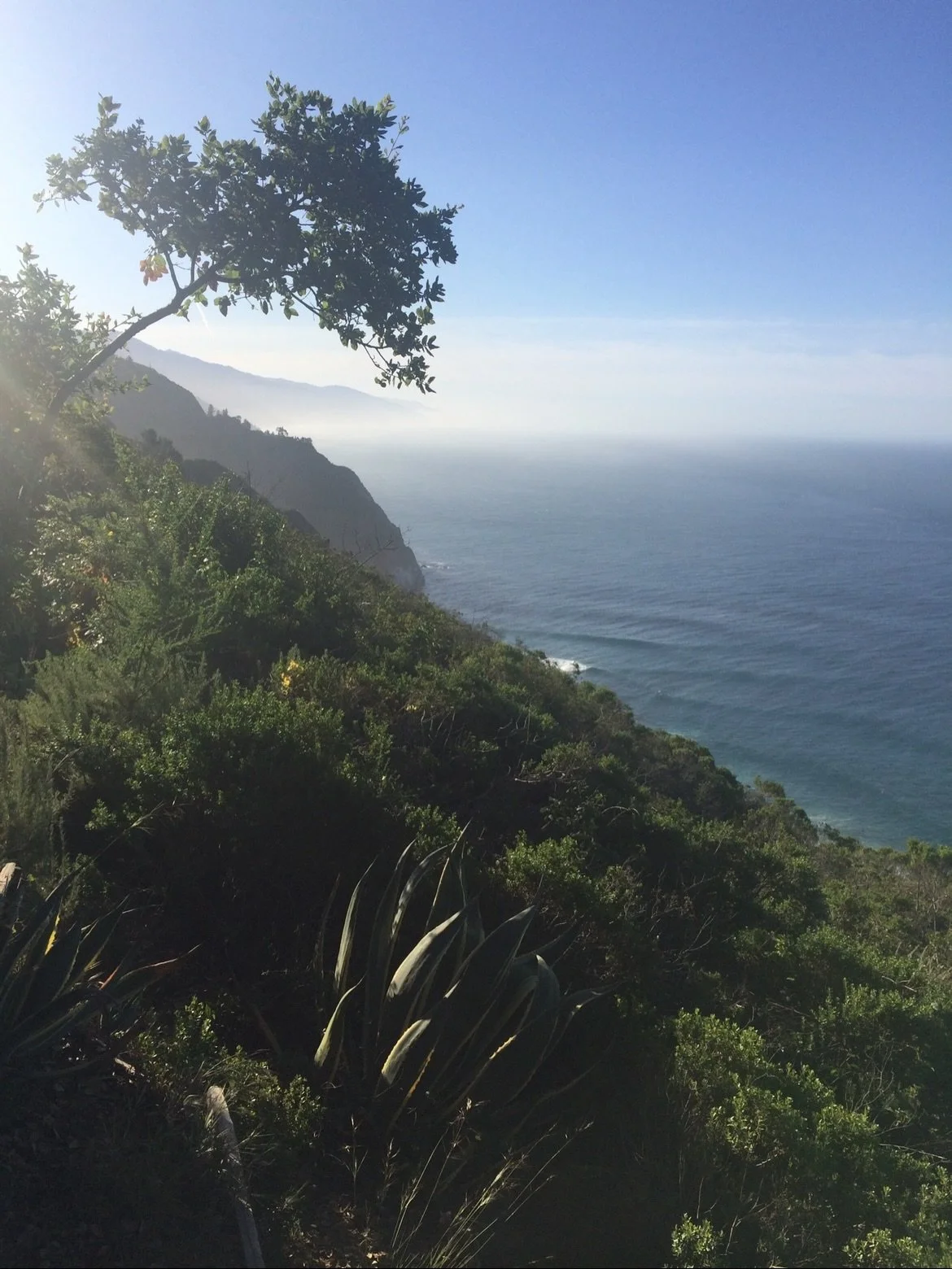 ❤️ GOOD NEWS! Highway 1 through Big Sur has fully reopened to travelers after a 12-day wildfire closure. The Henry Miller Library, Deetjen&rsquo;s, and other businesses have reopened. 🙌

The Timber Fire continues to burn and fire crews are still wor
