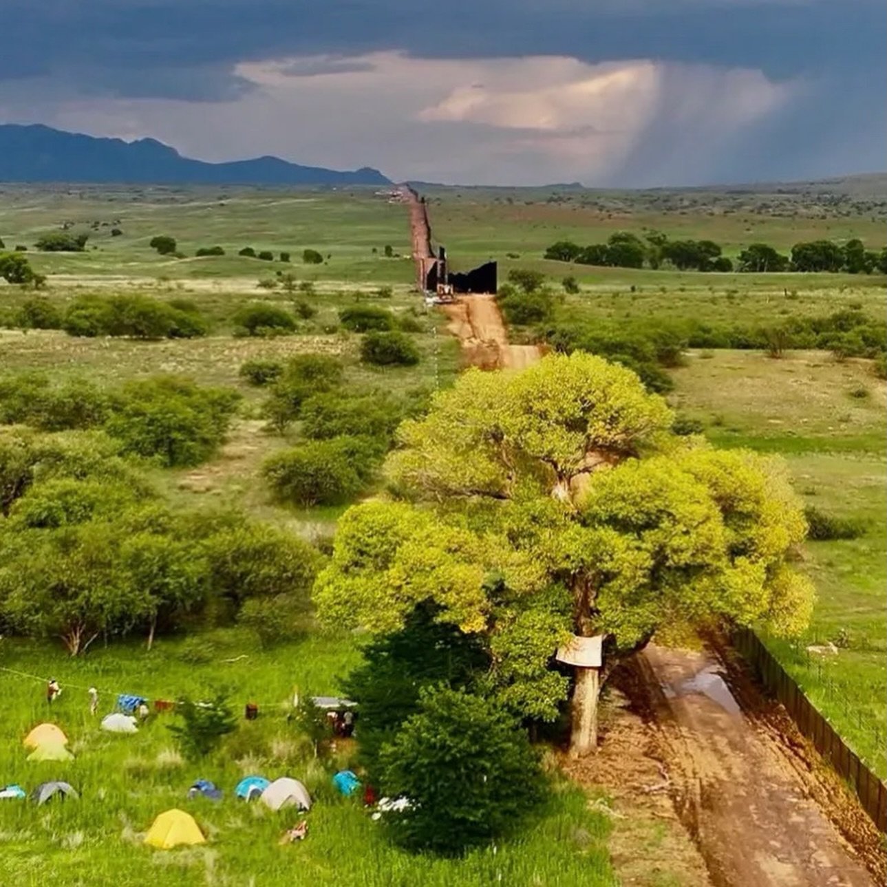 A lone Cottonwood tree remains. Zoom in and you can see the border wall 😭😡

Locals and other tree protectors have pitched tents beneath the Grandmother tree, with a tree sit above in her canopy. 

In the early hours of July 27; contractors razed th