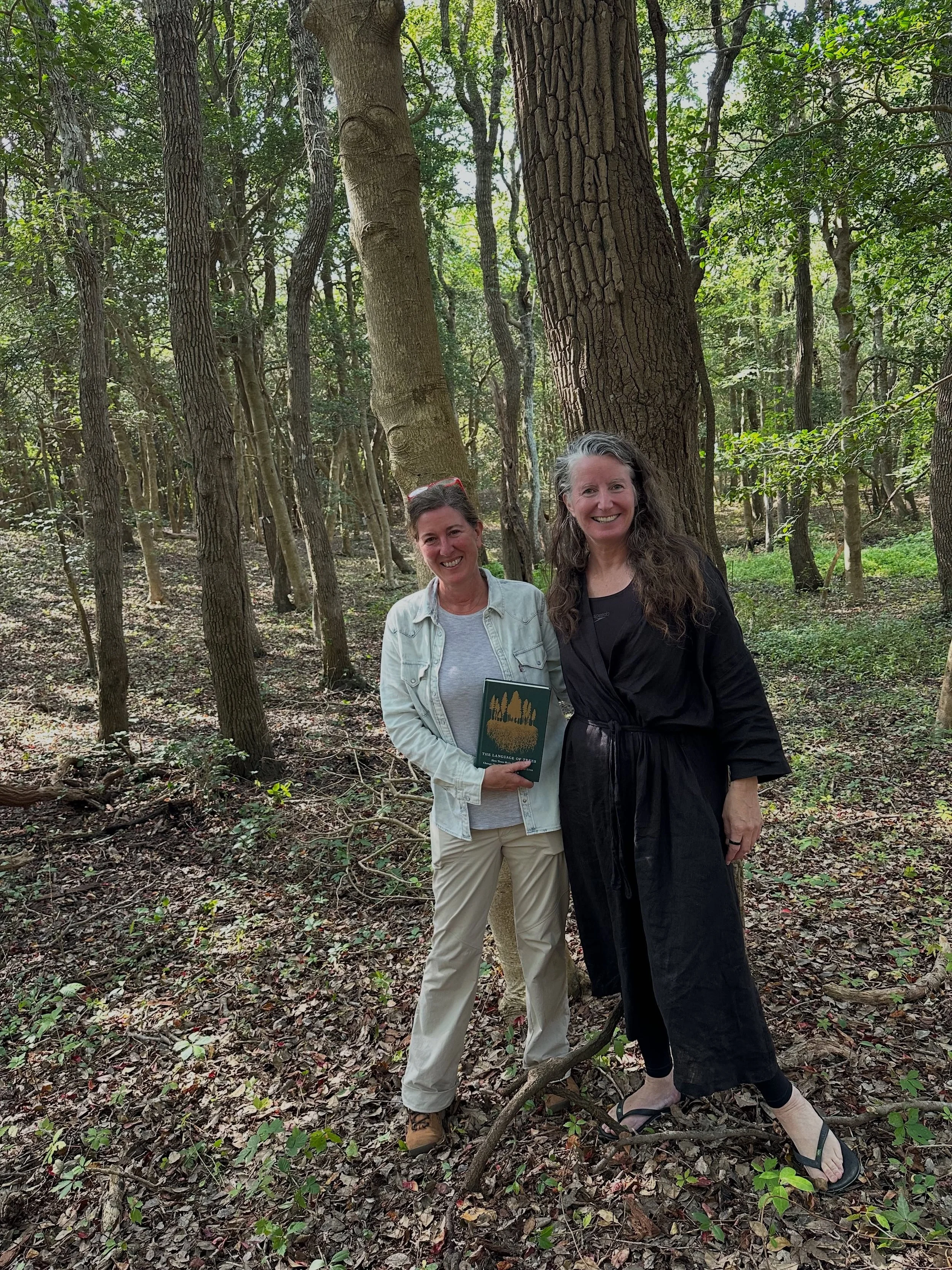Wow! What a beautiful day visiting the Sunken Forest on Fire Island. Thank you to dendrologist @dendrodavi for inviting me to join her expedition to the ancient maritime forest and @fireislandnps for taking such good care of us. 🙏🌳

It was magical!